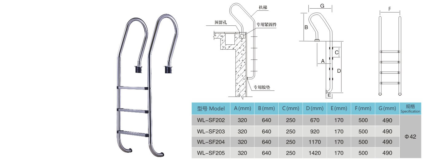 WL-SF-2.jpg